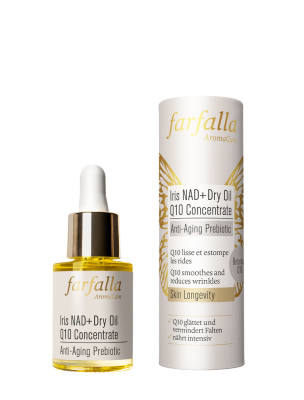 Vorschau des Gutschein-Designs