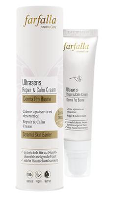 Vorschau des Gutschein-Designs